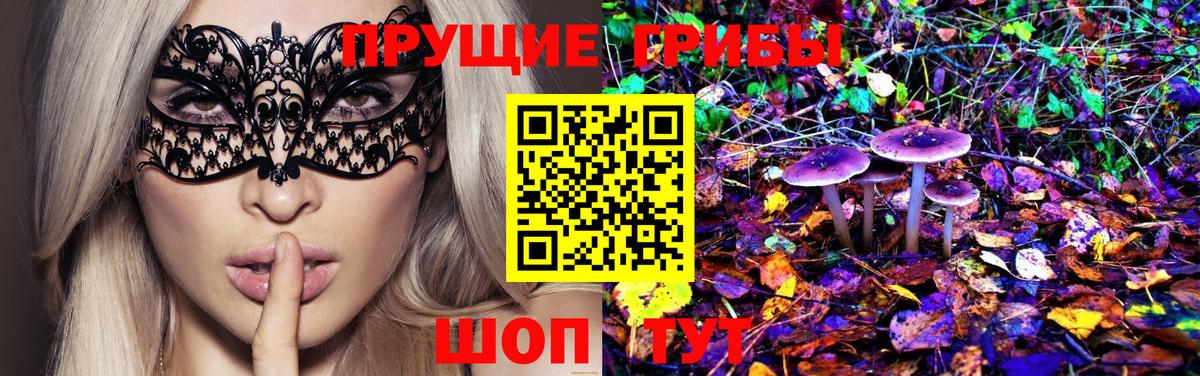 Псилоцибиновые грибы прущие грибы  Вход с VPN  Псилоцибиновые грибы Magic Shrooms  Котовск 